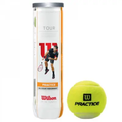 картинка Теннисные мячи Wilson Tour Practice 